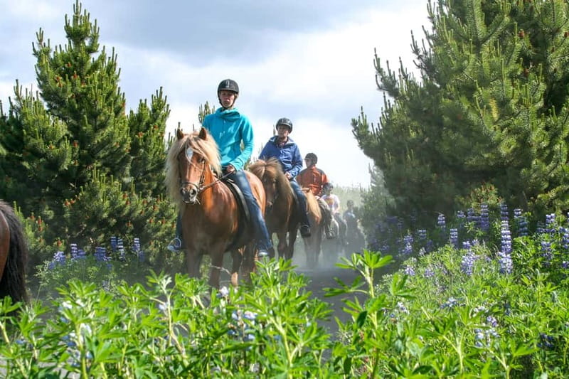 Icelandic Horse Riding Tour & Pickup Option from Reykjavik - Why Ride Icelandic Horses Right Outside Reykjavík?