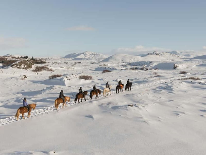 Icelandic Horse Riding Tour & Pickup Option from Reykjavik - The Plan from Start to Finish, Including Hafnarfjörður and the Reykjavík Drop-Off