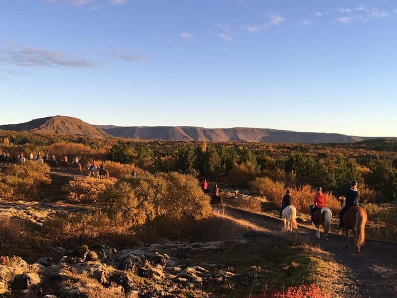 Icelandic Horse Riding Tour & Pickup Option from Reykjavik - Group Splitting for Beginners and Experienced Riders