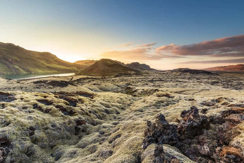 Icelandic Horse Riding Tour & Pickup Option from Reykjavik - Who Should Book This Horse Tour?