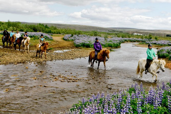 Icelandic Horseback Riding Tour Including Pick Up from Reykjavik - Matching Your Horse: Why Beginners Feel Comfortable Here