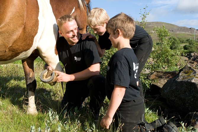 Icelandic Horseback Riding Tour Including Pick Up from Reykjavik - Back at the Stables: Warming Up With Coffee, Cocoa, and Pastry