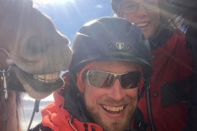 Icelandic Horseback Riding Tour Including Pick Up from Reykjavik - Price and Value: Is $152.37 Worth It for a 3.5 Hour Horse Experience?