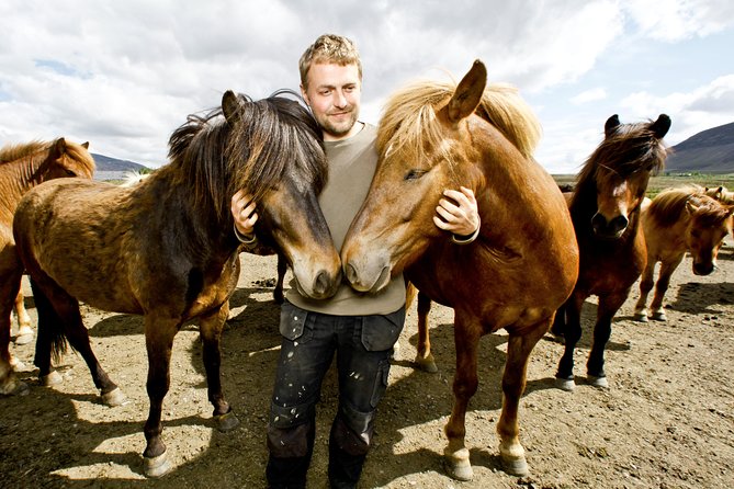 Icelandic Horseback Riding Tour Including Pick Up from Reykjavik - Gear Check: Helmets, Boots, and Winter Snowsuits That Actually Matter
