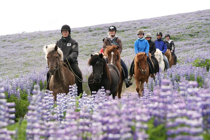 Icelandic Horseback Riding Tour with Pickup Option from Reykjavik - Gear That Actually Matters: Helmets, Rubber Boots, Rain Gear, and Warm Overalls