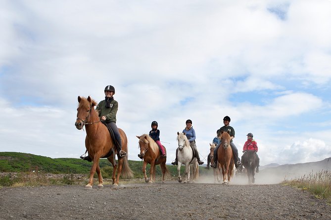 Icelandic Horseback Riding Tour with Pickup Option from Reykjavik - Arriving at the Stables, Getting Fitted, and Meeting Your Instructor