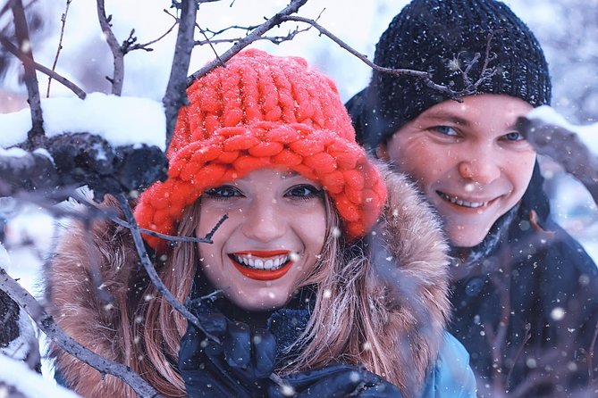 Icelandic Sagas and Glacier Cave Private Tour from Reykjavik - Price and Logistics: Is This Private Tour Good Value?