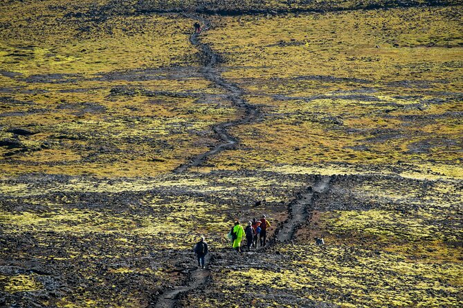 Inside the Volcano: Small-Group Tour and Lava Field Hike - Guides, Group Size, and Why Humor Helps on a Windy Day