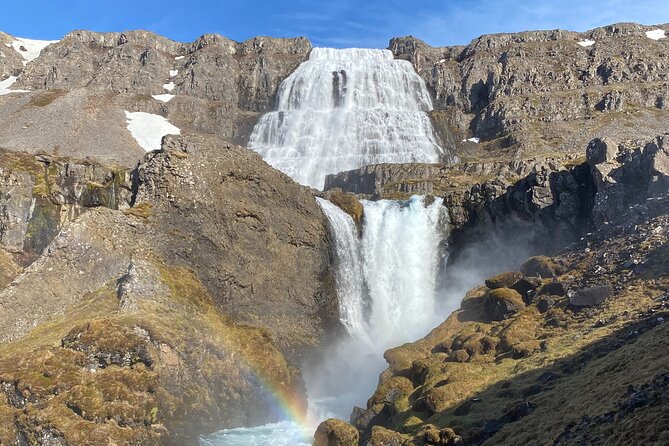 Isafjordur and Westfjords Private Tour - Key highlights to look for