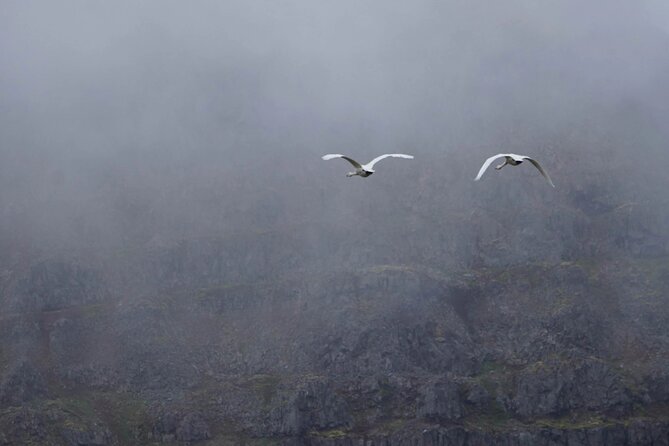 Isafjordur and Westfjords Private Tour - Bolafjall Mountain skywalk: the payoff for clear weather