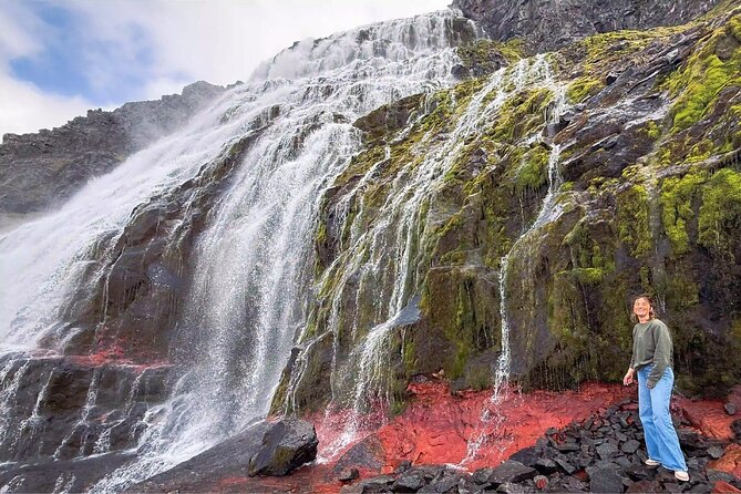Isafjordur and Westfjords Private Tour - Price and value: what $1,800 per group means in real terms