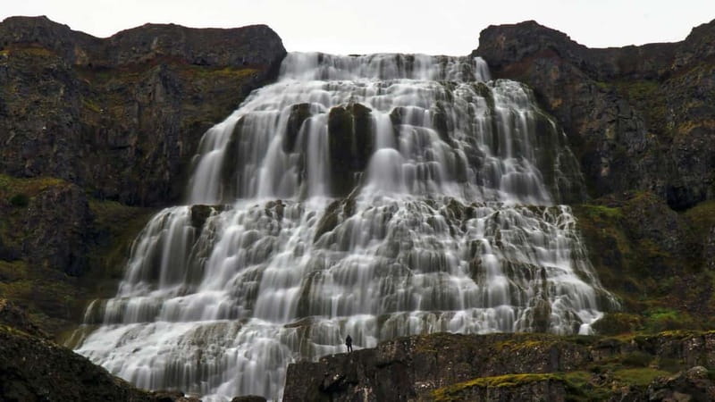 Isafjordur: Dynjandi Waterfall Guided Tour - The guided Westfjords drive, where wildlife and stories fit the scenery
