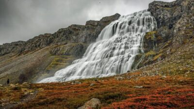 Isafjordur: Dynjandi Waterfall Tour and Icelandic Farm Visit