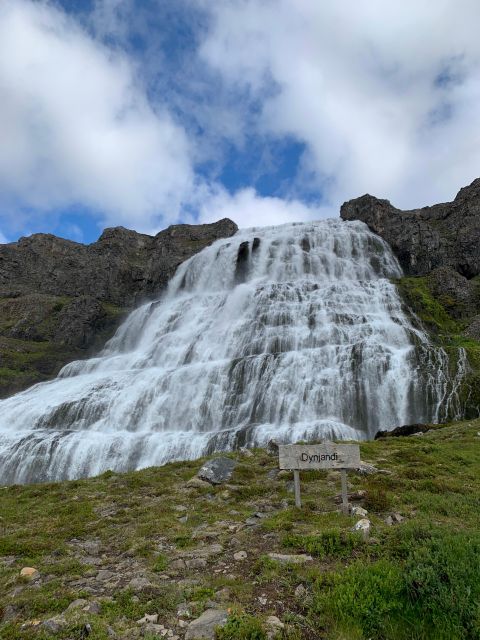 Isafjordur: Dynjandi Waterfall Tour and Icelandic Farm Visit - Timing, Pace, and Who This Half-Day Tour Fits Best