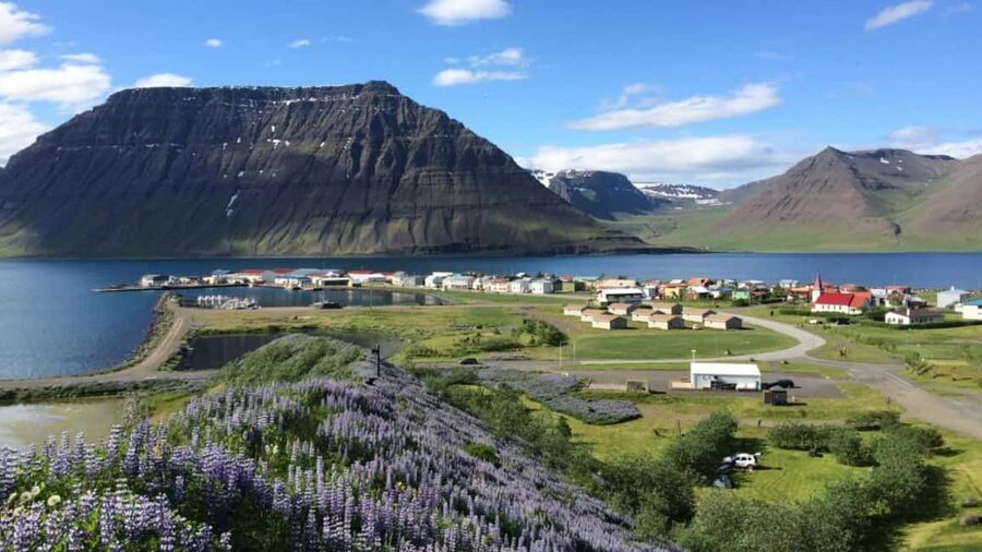 Ísafjörður: Flateyri Village tour: Nature, Culture, History - Flateyri’s setting: fjord light, table-top mountains, and white sand