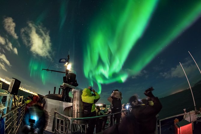 Kopar Fine Dining Dinner and Northern Lights Cruise from Reykjavik - Should you book the Kopar dinner plus Northern Lights cruise?