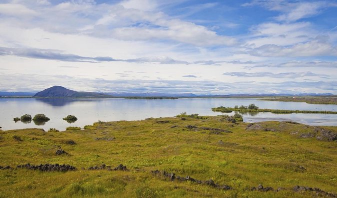 Lake Mývatn & Godafoss Small Group Tour from Akureyri Port - Skútustaðagígar pseudo-craters: lava and ice did the work, you just get the payoff