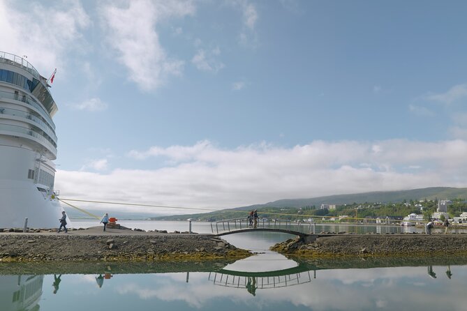 Lake Mývatn & Goðafoss Waterfall from Akureyri Port - Who this tour fits best, and who might want a different plan