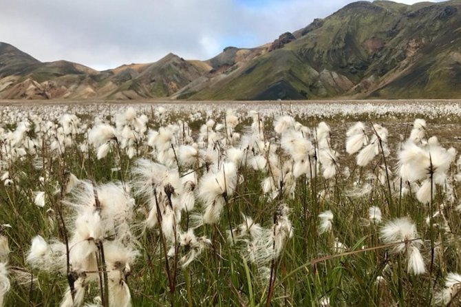 Landmannalaugar by Super Jeep - Price and value for an 8-hour guided Super Jeep trip