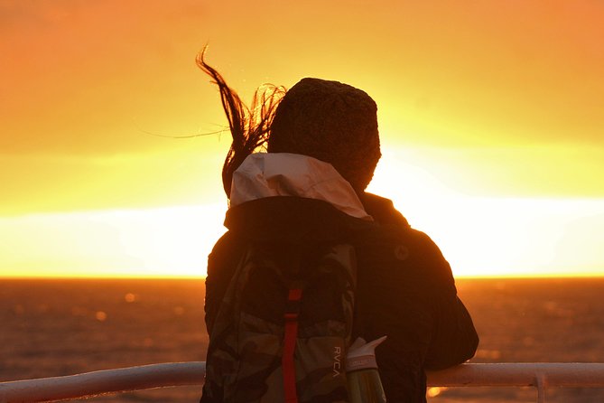 Magical Whales in the Midnight Sun | from Reykjavik - Midnight sun whale watching from Reykjavik: why the timing is special
