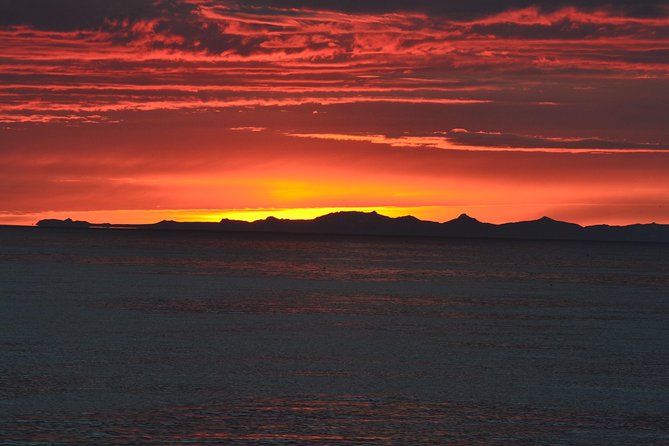 Magical Whales in the Midnight Sun | from Reykjavik - Who this tour fits best, and who should choose a different option