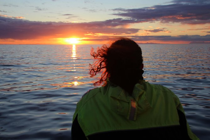 Midnight Sun Whale Watching from Reykjavik - How the evening runs: Geirsgata 11, Old Harbour, then back again