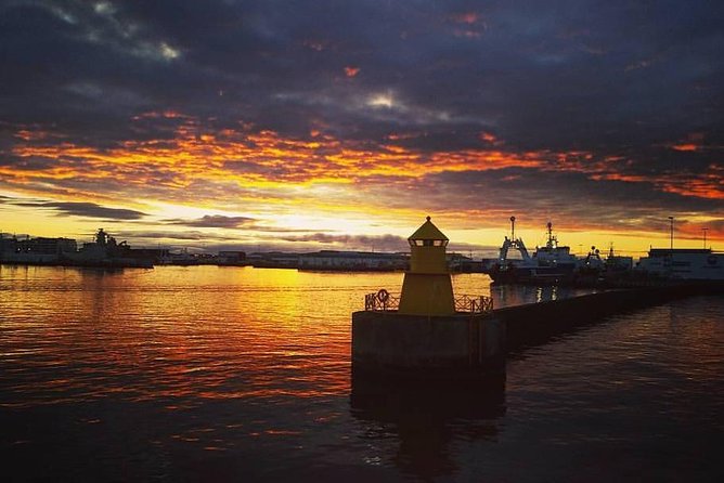 Midnight Sun Whale Watching from Reykjavik - Price and value: what you get for about $109