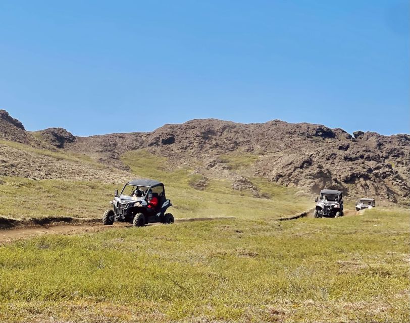 Mývatn: Lake Mývatn ATV Guided Safari Experience - Should you book the Mývatn ATV guided safari?
