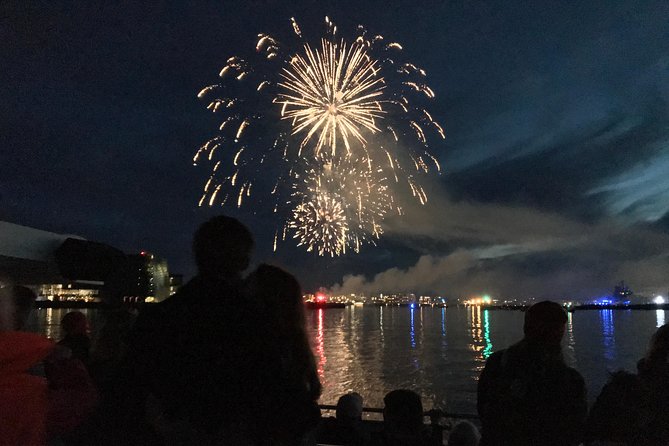 New Year's Eve Fireworks Cruise in Reykjavik - Bar, Drinks, and What’s Included Versus What You Pay For