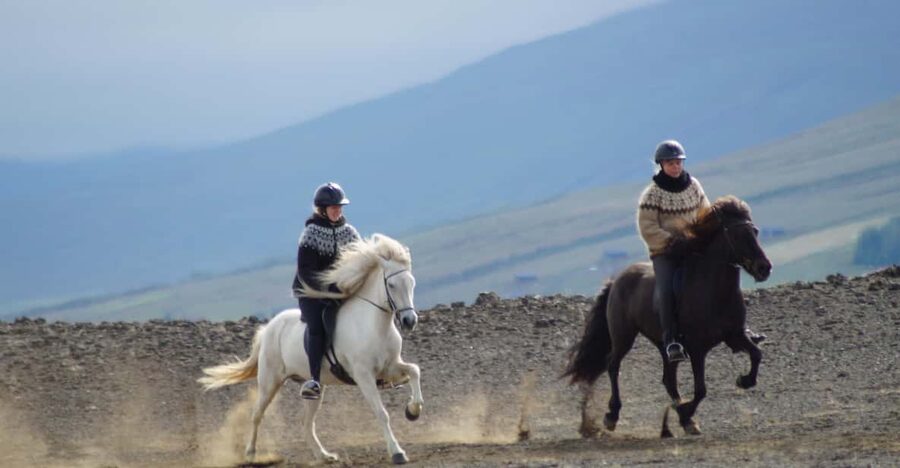 North Iceland: Horseback Riding Tour - Key highlights you will remember