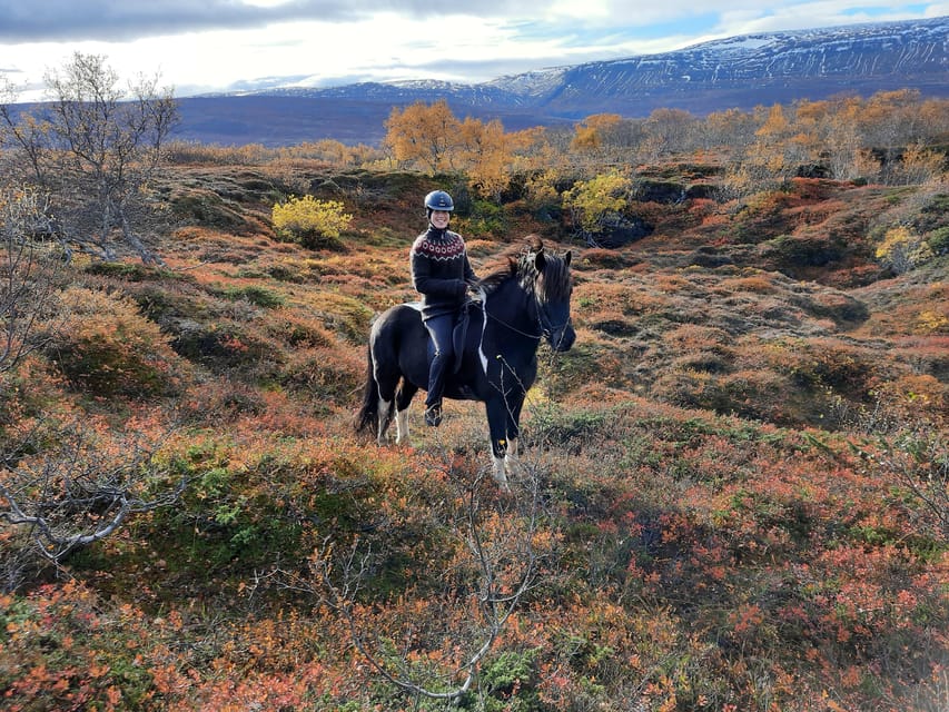North Iceland: Horseback Riding Tour - Price and value: what $141 buys you for 2 hours