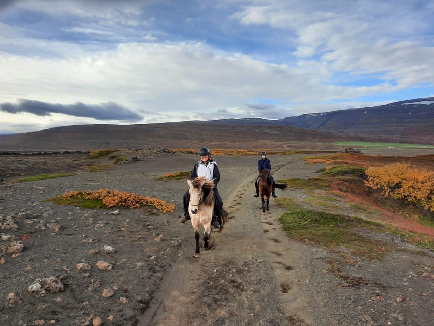 North Iceland: Horseback Riding Tour - Who this horseback tour is perfect for