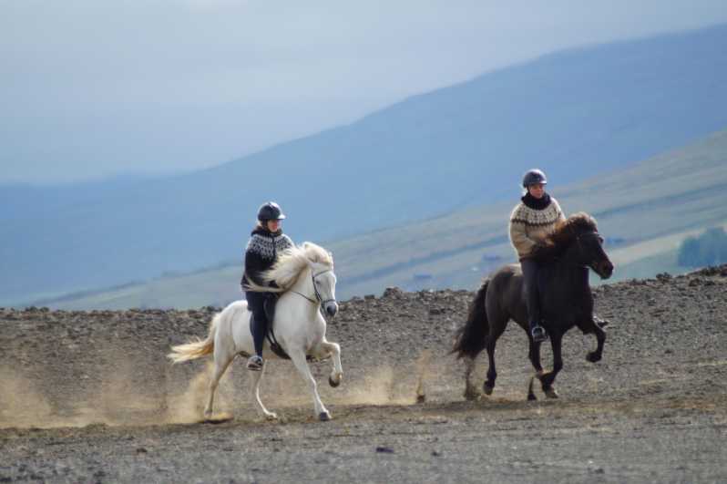 North Iceland: Horseback Riding Tour - Birches, riverside walking energy, and how the guide keeps it beginner-friendly