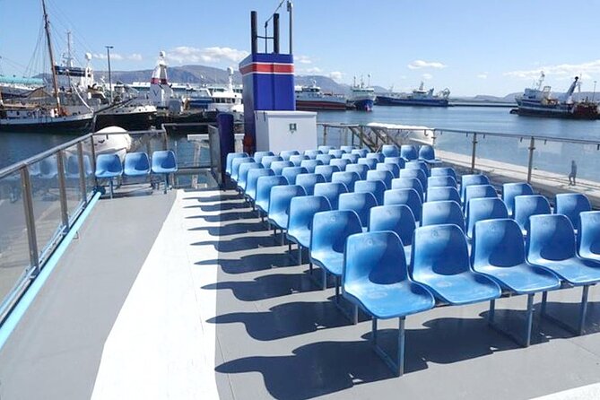 Northern Lights Boat Cruise from Reykjavik - Why this Reykjavik Northern Lights boat cruise is worth your time