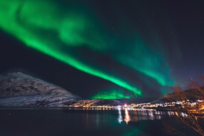 Northern Lights Boat Cruise from Reykjavik - On the observation deck: what it feels like when the sky puts on a show