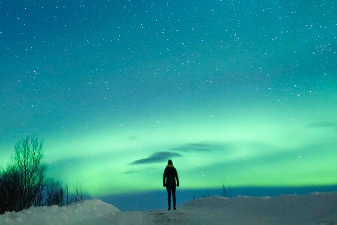 Northern Lights Bus Tour from Reykjavik with Hot Chocolate - How the guide chases the aurora: multiple spots and on-the-fly decisions