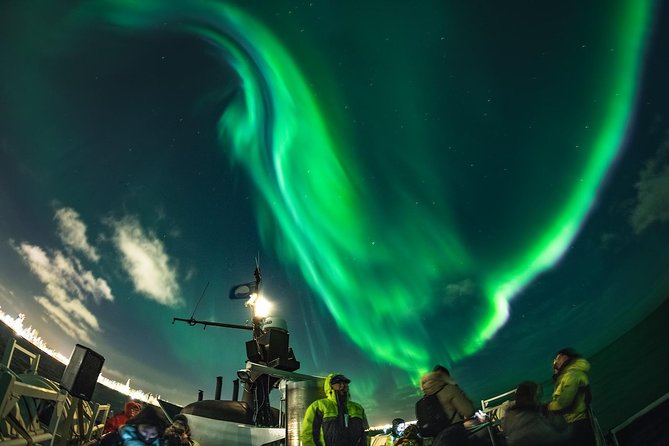 Northern Lights by Boat with a Backup Plan from Reykjavik - Where you meet and how the timing feels in real life