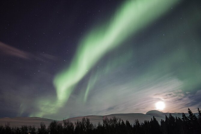 Northern Lights Classic MiniBus Tour from Akureyri - Key Highlights You Should Know Before You Go