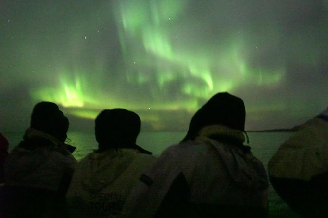 Northern Lights Cruise from Reykjavik Including Photos - Who should book this northern lights cruise