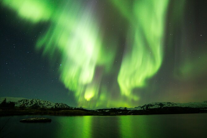 Northern Lights Cruise from Reykjavik - Before you go: timing, forecasts, and the key meeting point