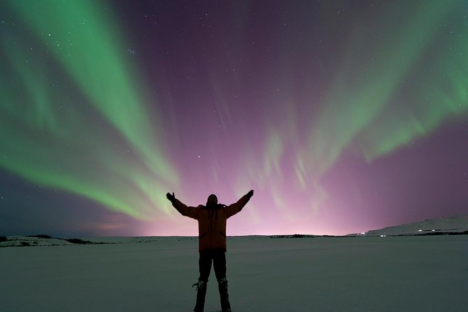Northern Lights Guided Bus Tour from Reykjavik - Price and What You Actually Get for $73