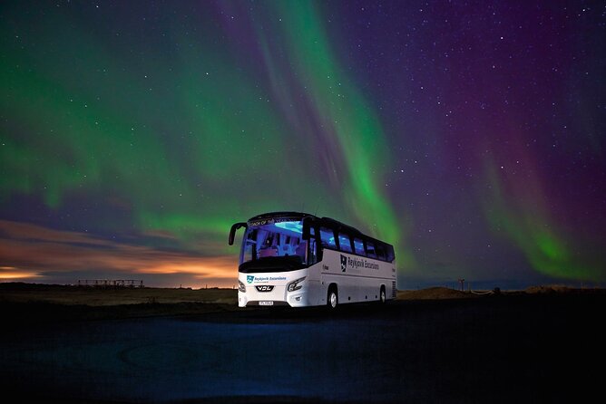 Northern Lights Guided Bus Tour from Reykjavik - Your Aurora Stops: How Guides Choose Where to Look