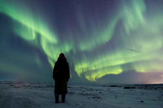 Northern Lights Small Group Tour from Reykjavik with Free Photos - Why This 4-Hour Northern Lights Photo Tour From Reykjavik Feels Worth It