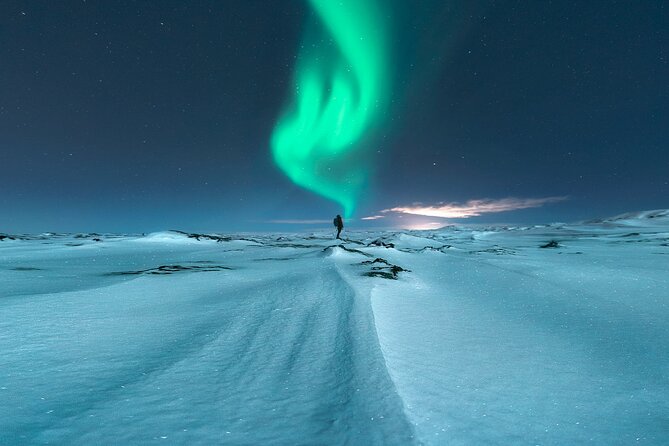 Northern Lights Small-Group Tour with Free Photos & Hot Chocolate - Price, group size, and what feels like value at $118.27