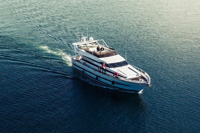 Northern Lights Yacht Cruise - Onboard comfort: bar, café, Wi-Fi, blankets, and warm-up time