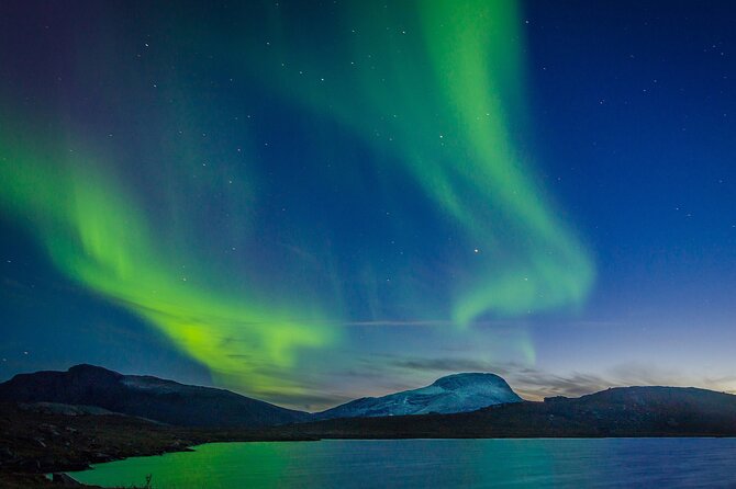 Northern Lights Yacht Cruise in Reykjavik - Why a Reykjavik yacht cruise feels different from land tours
