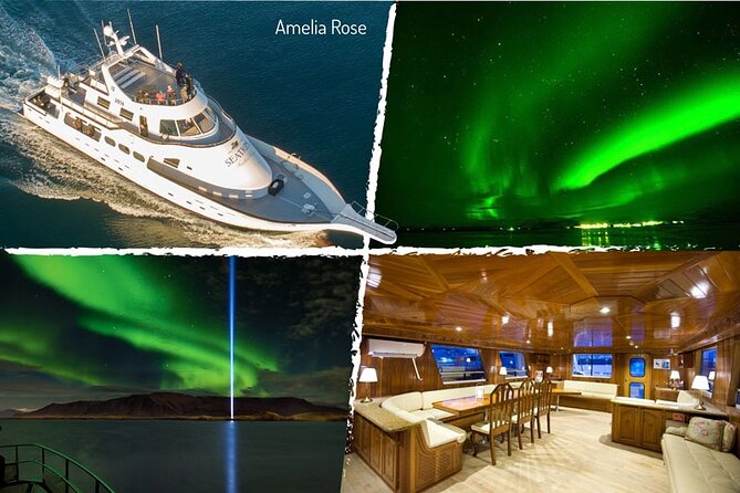 Northern Lights Yacht Cruise in Reykjavik - Deck strategy: stay warm, keep your camera steady