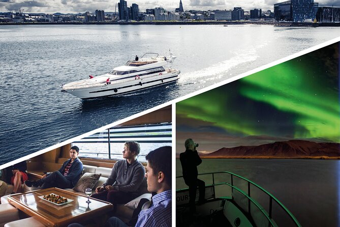 Northern Lights Yacht Cruise - Past Harpa and the Reykjavik coastline from the sea