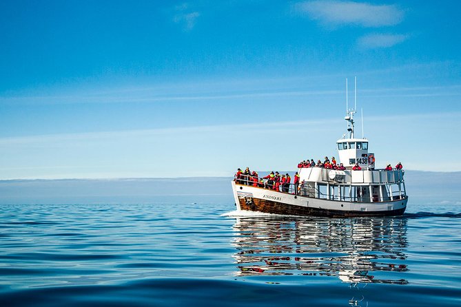 Original Carbon Neutral Whale Watching Tour from Húsavík - The warm-up stop: hot chocolate and cinnamon buns on the way back