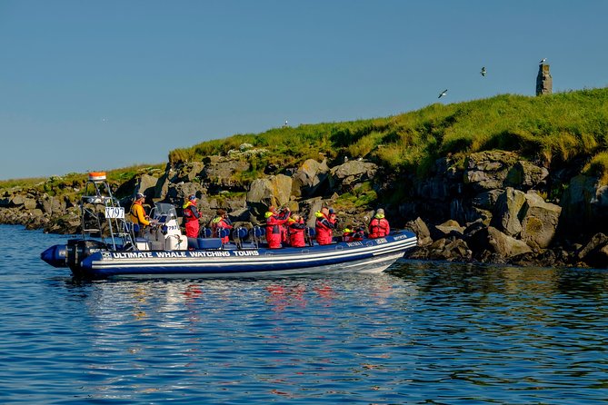 Premium Small-Group Puffin & Bird Watching tour from Reykjavík - Weather, Waves, Motion Sensitivity, and Who This Fits Best